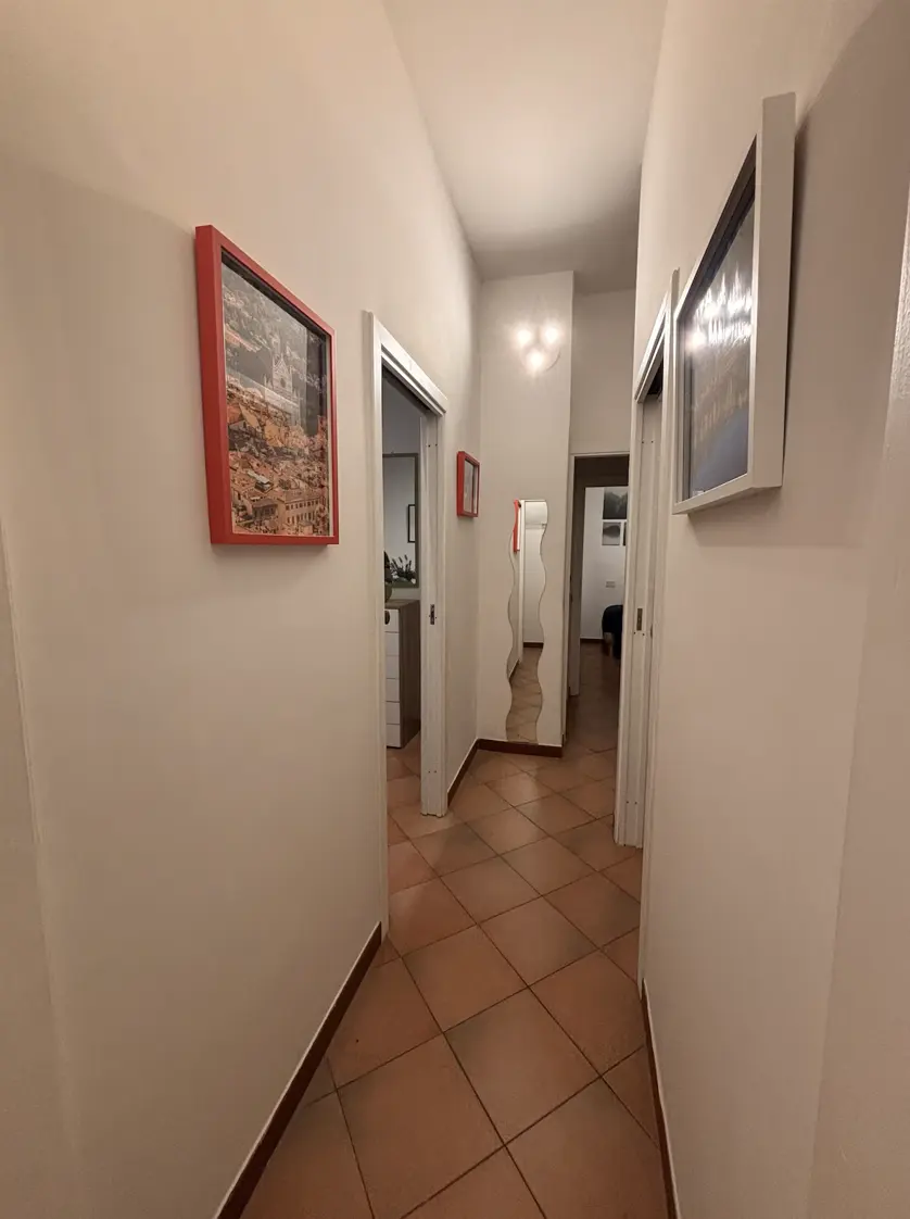 miniatura 14